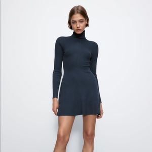 Zara Knit Turtleneck Mini Dress